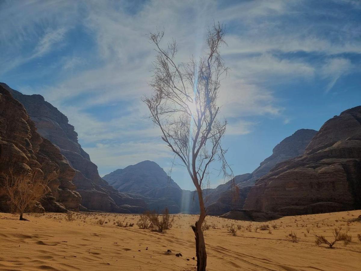 Wadi Rum Oscar Camp Bagian luar foto
